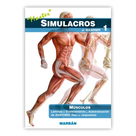 Master - Simulacros de examen: Músculos