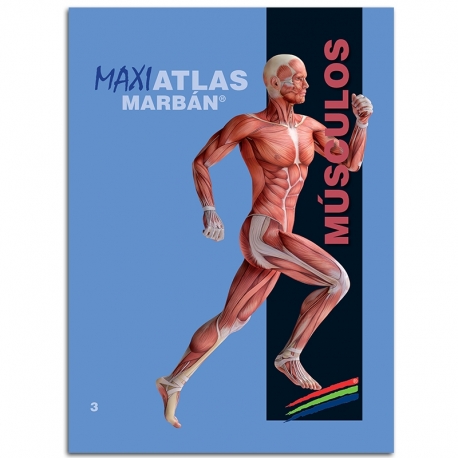 MARBÁN - Maxi Atlas 3 Músculos