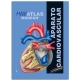 MARBÁN - Maxi Atlas 6 Aparato Cardiovascular