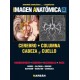 Harnsberger - Cerebro, Columna Cabeza y Cuello