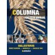 Ballesteros - Columna Toracolumbar