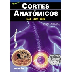 Ellis  - Cortes Anatómicos